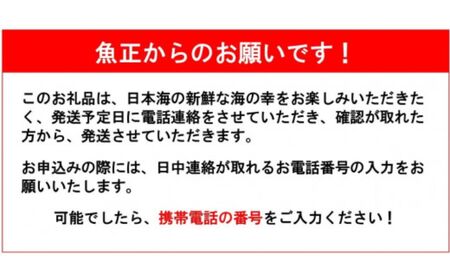 〈期間限定〉越後 本ズワイガニ 大 1杯 0.8~1kg 姿 糸魚川産 浜茹で 鮮度が命！茹でたて直送 ギフトにも おススメ!! ずわいがに かに カニ 蟹 魚正 国産 日本海 新潟県 