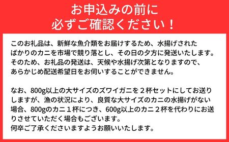 〈期間限定〉越後 本ズワイガニ 大 2杯 合計1.6～2kg  姿 糸魚川産 浜茹で 鮮度が命！茹でたて直送 ギフトにも おススメ!! ずわいがに かに カニ 蟹 魚正 国産 日本海 新潟県 