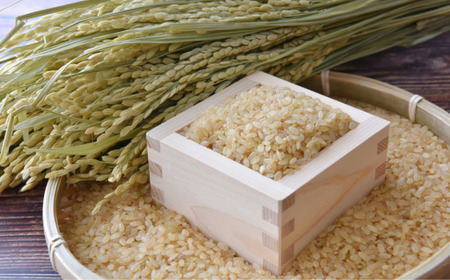新潟米！新之助　玄米20kg 新潟米！新之助 玄米20kg
