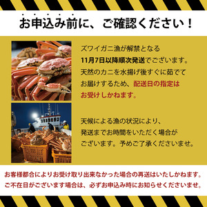 〈期間限定〉越後 本ズワイガニ 500g×2杯 計1kg 姿 糸魚川産 浜茹で 鮮度が命！ 茹でたて直送 日本海 磯貝鮮魚店 ずわいがに かに カニ 蟹 新潟県  