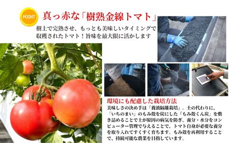 樹上完熟トマトジュース『大農』1L×2本