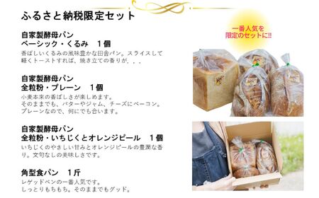 自家製酵母パン3個&角型食パン1斤セット(ベーシック・クルミ、全粒粉・プレーン、全粒粉・イチジクとオレンジピール)・ 全粒粉 パン 薪のかまどのパン屋さん 国産の良質な小麦粉 糸魚川 レゲッドベン 薪窯 天然酵母【パン 自家製酵母 全粒粉  】