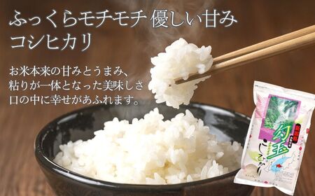 米どころ新潟から『新之助・コシヒカリ・こしいぶき』各5kg 計15kg 食べ比べセット 糸魚川産 美味しいお米の食べ比べ 白米 令和5年産 木島米穀店【米 お米 こしひかり しんのすけ 食品 おすすめ 人気 新潟県 糸魚川市】