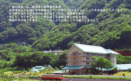 ホテル国富 翠泉閣 宿泊クーポン券 3,000円分【新潟県 糸魚川市 温泉 源泉かけ流し 國富 秘湯 長野県境 姫川温泉 旅行 観光 宿泊補助券】