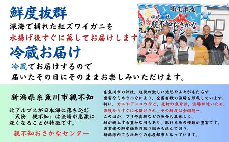 【日本海直送】紅ズワイガニ (450g)2杯 900g 鮮度抜群！蒸しガニ ベニズワイガニ 親不知おさかなセンター【 かに カニ 紅ずわいがに】 