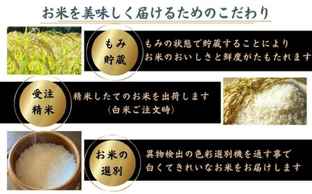 令和6年新米！新潟県糸魚川産☆コシヒカリ玄米30キロ （米【令和6  