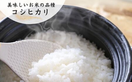 【令和6年産新米】ｺｼﾋｶﾘ 5kg×2袋 10㎏ 新潟県 糸魚川産「塩の道」牧江米店 