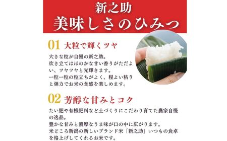 令和7年産【定期便】新之助 5kg×3ヶ月 計15kg 米・食味鑑定士お墨付き 家族みんなで愛情かけて育てた米 新潟県糸魚川産 2025年 しんのすけ 白米 百姓や伝六【米 お米 こめ 食品 人気 おすすめ ギフト 新潟県の新しいブランド米 農家直送 5キロ 精米 3回 3か月 新之助 】