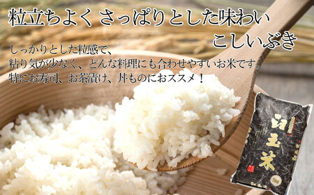 【令和6年産 新米】【3ヶ月 定期便】新潟県産こしいぶき『臼玉米』5kg×3回 毎月お届け（合計15kg）木島米穀店 【米 お米 白米 こめ コメ コシイブキ ご飯 ライス ふるさと納税米 お弁当 おにぎり 15キロ 精米 食品 新潟県 糸魚川産 2024年産 食品 人気 おすすめ 3か月 3ヵ月 3ヶ月】【精米 白米 定期便 こしいぶき こしいぶき 精米 白米 定期便 こしいぶき こしいぶき 精米 白米 定期便 こしいぶき こしいぶき 精米 白米 定期便 こしいぶき こしいぶき 精米 白米 定期便 こしいぶき こしいぶき 精米 白米 定期便 こしいぶき こしいぶき 精米 白米 定期便 こしいぶき こしいぶき 精米 白米 定期便 こしいぶき こしいぶき 精米 白米 定期便 こしいぶき こしいぶき 精米 白米 定期便 こしいぶき こしいぶき 精米 白米 定期便 こしいぶき こしいぶき 精米 白米 定期便 こしいぶき こしいぶき 精米 白米 定期便 こしいぶき こしいぶき 精米 白米 定期便 こしいぶき こしいぶき 精米 白米 定期便 こしいぶき こしいぶき 精米 白米 定期便 こしいぶき こしいぶき 精米 白米 定期便 こしいぶき こしいぶき 精米 白米 定期便 こしいぶき こしいぶき 精米 白米 定期便 こしいぶき こしいぶき 精米 白米 定期便 こしいぶき こしいぶき 精米 白米 定期便 こしいぶき こしいぶき 精米 白米 定期便 こしいぶき こしいぶき 精米 白米 定期便 こしいぶき こしいぶき 精米 白米 定期便 こしいぶき こしいぶき 精米 白米 定期便 こしいぶき こしいぶき 精米 白米 定期便 こしいぶき こしいぶき 精米 白米 定期便 こしいぶき こしいぶき 精米 白米 定期便 こしいぶき こしいぶき 精米 白米 定期便 こしいぶき こしいぶき 精米 白米 定期便 こしいぶき こしいぶき 精米 白米 定期便 こしいぶき こしいぶき 精米 白米 定期便 こしいぶき こしいぶき 精米 白米 定期便 こしいぶき こしいぶき 精米 白米 定期便 こしいぶき こしいぶき 精米 白米 定期便 こしいぶき こしいぶき 精米 白米 定期便 こしいぶき こしいぶき 精米 白米 定期便 こしいぶき こしいぶき】