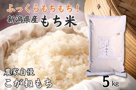 もち米『こがねもち』 5kg 新潟県産 【令和7年産】つやつやモチモチ もち米ならではの芳醇な香り 百姓や伝六 1等米【もち米 餅 赤飯 おこわ ふるさと納税 米 ブランド米 黄金餅 もち米 2025年産】