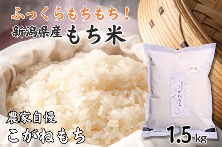 もち米『こがねもち』 1.5kg  (約1升) 新潟県産 【令和7年産】つやつやモチモチ もち米ならではの芳醇な香り 百姓や伝六 1等米【もち米 餅 赤飯 おこわ ふるさと納税 米 ブランド米 黄金餅 もち米 2025年産】