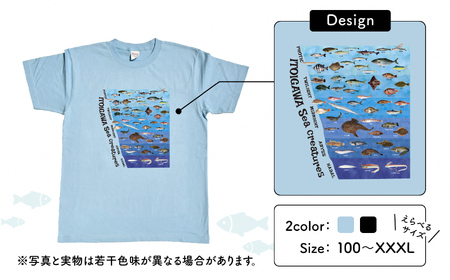地域限定オリジナル Tシャツ『いとT』-魚図鑑- いといがわTシャツコレクション 男女兼用 綿100% メンズ レディース キッズ ファッション トップス スポーツ用品 新潟県 糸魚川市 (株)アド・クリーク