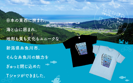 地域限定オリジナル Tシャツ『いとT』-魚図鑑- いといがわTシャツコレクション 男女兼用 綿100% メンズ レディース キッズ ファッション トップス スポーツ用品 新潟県 糸魚川市 (株)アド・クリーク