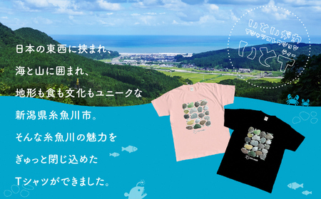 地域限定オリジナル Tシャツ『いとT』-石の標本- いといがわTシャツコレクション 男女兼用 綿100% メンズ レディース キッズ ファッション トップス スポーツ用品 新潟県 糸魚川市 (株)アド・クリーク