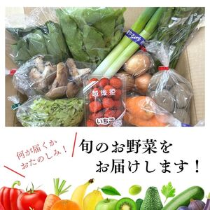 直売所からお届け！旬の野菜セット【6回お届け】（8～10品詰め合わせ）新鮮な野菜直送便 【大根･白菜･春菊･アスパラ菜･しいたけ･ほうれん草･ふきのとう･タラの芽･山菜･にんじん･イチゴ･トマト･きゅうり･ピーマン･ジャガイモ･玉ねぎ･オクラ･枝豆･トウモロコシ･なす･生きくらげ･長ネギ･サツマイモ･里芋】