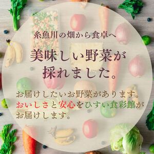 直売所からお届け！旬の野菜セット【12回お届け】（8～10品詰め合わせ）JA 新鮮な野菜直送便  糸魚川 新潟【大根･白菜･春菊･アスパラ菜･しいたけ･ほうれん草･ふきのとう･タラの芽･山菜･にんじん･イチゴ･トマト･きゅうり･ピーマン･ジャガイモ･玉ねぎ･オクラ･枝豆･トウモロコシ･なす･生きくらげ･長ネギ･サツマイモ･里芋】