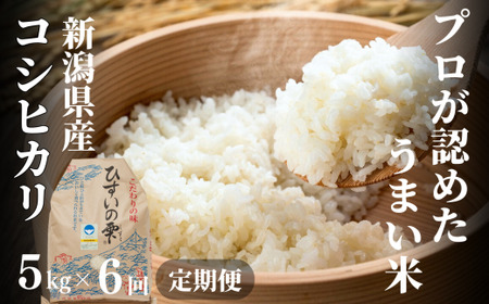 6ヶ月定期便】新潟県産コシヒカリ 5kg×6回お届け（合計30kg）特別栽培