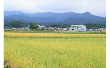 令和6年産 新米【12ヶ月定期便】新潟県産コシヒカリ 5kg×12回お届け（合計60kg）特別栽培米『ひすいの雫』令和6年産 糸魚川 コシヒカリ こしひかり 精米 白米 定期便 おすすめ 磯貝農場