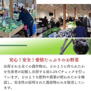 直売所からお届け！旬の野菜セット【隔月3回お届け】（8～10品詰め合わせ）JA 新鮮な野菜直送  糸魚川 新潟【大根･白菜･春菊･アスパラ菜･しいたけ･ほうれん草･ふきのとう･タラの芽･山菜･にんじん･イチゴ･トマト･きゅうり･ピーマン･ジャガイモ･玉ねぎ･オクラ･枝豆･トウモロコシ･なす･生きくらげ･長ネギ･サツマイモ･里芋】便