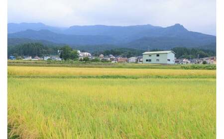 新潟県産コシヒカリ 10kg 特別栽培米『ひすいの雫』令和5年産 糸魚川 こしひかり