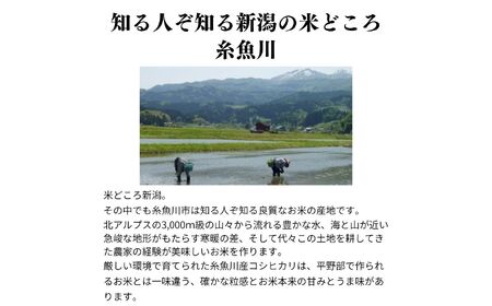 新潟県産コシヒカリ 2kg『ひすいの里』農家自慢の特選米 糸魚川 令和5年産 こしひかり