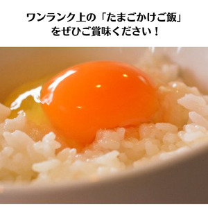 【定期便】やさしい甘みあふれる卵『ピュア・エッグ』30個×３か月お届け コクがあるのにフルーティーな甘さ 新潟 糸魚川