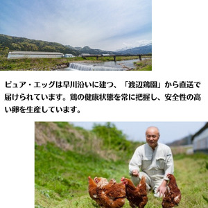 【定期便】やさしい甘みあふれる卵『ピュア・エッグ』30個×６か月お届け コクがあるのにフルーティーな甘さ 新潟 糸魚川
