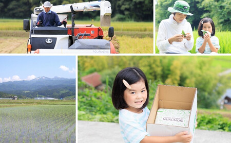 米【令和7年産】【6ヶ月定期便】新潟県産「コシヒカリ」５kg×6ヶ月 合計30kg 食味鑑定士お墨付き 令和7年産 特別栽培米 農家直送 甘みあふれる農家自慢の逸品　NUKUMORI ぬくもり 百姓や伝六 