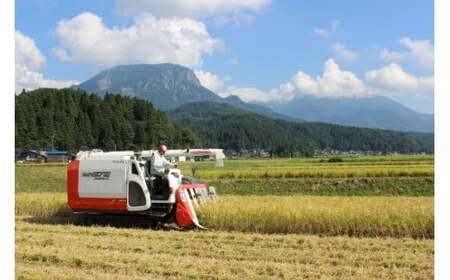 根知男山『社長おすすめの日本酒頒布会』蔵のとっておきをお届けします! 【720m×3~4本 1回】渡辺酒造店 新潟 糸魚川