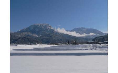 根知男山『社長おすすめの日本酒頒布会』蔵のとっておきをお届けします! 【720m×3~4本 1回】渡辺酒造店 新潟 糸魚川