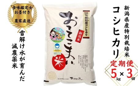 【令和6年産 新米】【3ヶ月定期便】新潟県産 特別栽培米コシヒカリ5kg×3回 合計15kg「おててこまい」100%根知産 減農薬 令和6年産 専門家お墨付き 産地直送 糸魚川 小田島建設【 こしひかり ｺｼﾋｶﾘ こしひかり ｺｼﾋｶﾘ こしひかり ｺｼﾋｶﾘ こしひかり ｺｼﾋｶﾘ こしひかり ｺｼﾋｶﾘ こしひかり ｺｼﾋｶﾘ こしひかり ｺｼﾋｶﾘ こしひかり ｺｼﾋｶﾘ こしひかり ｺｼﾋｶﾘ こしひかり ｺｼﾋｶﾘ こしひかり ｺｼﾋｶﾘ こしひかり ｺｼﾋｶﾘ こしひかり ｺｼﾋｶﾘ こしひかり ｺｼﾋｶﾘ こしひかり ｺｼﾋｶﾘ こしひかり ｺｼﾋｶﾘ こしひかり ｺｼﾋｶﾘ こしひかり ｺｼﾋｶﾘ こしひかり ｺｼﾋｶﾘ こしひかり ｺｼﾋｶﾘ こしひかり ｺｼﾋｶﾘ こしひかり ｺｼﾋｶﾘ こしひかり ｺｼﾋｶﾘ こしひかり ｺｼﾋｶﾘ こしひかり ｺｼﾋｶﾘ こしひかり ｺｼﾋｶﾘ こしひかり ｺｼﾋｶﾘ こしひかり ｺｼﾋｶﾘ こしひかり ｺｼﾋｶﾘ こしひかり ｺｼﾋｶﾘ こしひかり ｺｼﾋｶﾘ こしひかり ｺｼﾋｶﾘ こしひかり ｺｼﾋｶﾘ こしひかり ｺｼﾋｶﾘ こしひかり ｺｼﾋｶﾘ こしひかり ｺｼﾋｶﾘ こしひかり ｺｼﾋｶﾘ こしひかり ｺｼﾋｶﾘ こしひかり ｺｼﾋｶﾘ こしひかり ｺｼﾋｶﾘ こしひかり ｺｼﾋｶﾘ こしひかり ｺｼﾋｶﾘ こしひかり ｺｼﾋｶﾘ こしひかり ｺｼﾋｶﾘ こしひかり ｺｼﾋｶﾘ こしひかり ｺｼﾋｶﾘ こしひかり ｺｼﾋｶﾘ こしひかり ｺｼﾋｶﾘ こしひかり ｺｼﾋｶﾘ こしひかり ｺｼﾋｶﾘ こしひかり ｺｼﾋｶﾘ こしひかり ｺｼﾋｶﾘ こしひかり ｺｼﾋｶﾘ こしひかり ｺｼﾋｶﾘ こしひかり ｺｼﾋｶﾘ こしひかり ｺｼﾋｶﾘ こしひかり ｺｼﾋｶﾘ こしひかり ｺｼﾋｶﾘ こしひかり ｺｼﾋｶﾘ こしひかり ｺｼﾋｶﾘ こしひかり ｺｼﾋｶﾘ こしひかり ｺｼﾋｶﾘこしひかり ｺｼﾋｶﾘ こしひかり ｺｼﾋｶﾘ こしひかり ｺｼﾋｶﾘ こしひかり ｺｼﾋｶﾘ こしひかり ｺｼﾋｶﾘ こしひかり ｺｼﾋｶﾘ こしひかり ｺｼﾋｶﾘこしひかり ｺｼﾋｶﾘ こしひかり ｺｼﾋｶﾘ 】 