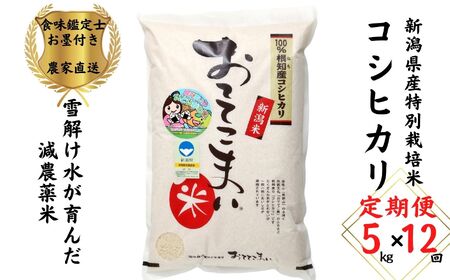 【12ヶ月定期便】新潟県産 特別栽培米コシヒカリ5kg×12回「おててこまい」100%根知産 減農薬 令和5年産 専門家お墨付き 産地直送 糸魚川 こしひかり【米 こしひかり 精米 白米 定期便 コシヒカリ 米 こしひかり 精米 白米 定期便 コシヒカリ 米 こしひかり 精米 白米 定期便 コシヒカリ 米 こしひかり 精米 白米 定期便 コシヒカリ 米 こしひかり 精米 白米 定期便 コシヒカリ 米 こしひかり 精米 白米 定期便 コシヒカリ 米 こしひかり 精米 白米 定期便 コシヒカリ 米 こしひかり 精米 白米 定期便 コシヒカリ 米 こしひかり 精米 白米 定期便 コシヒカリ 米 こしひかり 精米 白米 定期便 コシヒカリ 米 こしひかり 精米 白米 定期便 コシヒカリ 米 こしひかり 精米 白米 定期便 コシヒカリ 米 こしひかり 精米 白米 定期便 コシヒカリ 米 こしひかり 精米 白米 定期便 コシヒカリ 米 こしひかり 精米 白米 定期便 コシヒカリ 米 こしひかり 精米 白米 定期便 コシヒカリ 米 こしひかり 精米 白米 定期便 コシヒカリ 米 こしひかり 精米 白米 定期便 コシヒカリ 】 