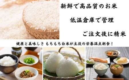 12ヶ月定期便】新潟県産 特別栽培米コシヒカリ5kg×12回「おててこまい