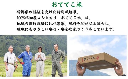 12ヶ月定期便】新潟県産 特別栽培米コシヒカリ5kg×12回「おててこまい