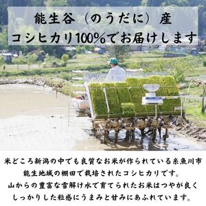 【6ヶ月定期便】新潟県産コシヒカリ10kg×6ヶ月(合計60kg)プロが認める棚田米 令和6年産 糸魚川 能生谷産こしひかり　
