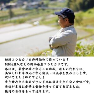 【6ヶ月定期便】新潟県産コシヒカリ10kg×6ヶ月(合計60kg)プロが認める棚田米 令和6年産 糸魚川 能生谷産こしひかり　