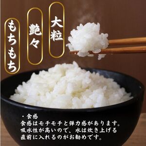 【数量限定】幻のお米『いのちの壱』５kg（白米）令和6年産 新潟県糸魚川能生谷産 コシヒカリの変異株 希少な米 こしひかりの1.5倍の大粒