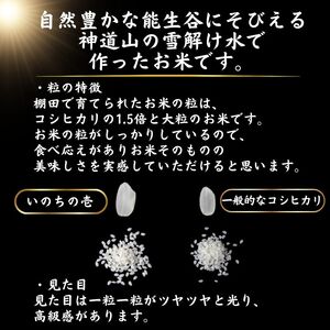 【数量限定】幻のお米『いのちの壱』５kg（白米）令和6年産 新潟県糸魚川能生谷産 コシヒカリの変異株 希少な米 こしひかりの1.5倍の大粒