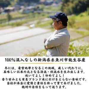 【数量限定】幻のお米『いのちの壱』５kg（白米）令和6年産 新潟県糸魚川能生谷産 コシヒカリの変異株 希少な米 こしひかりの1.5倍の大粒