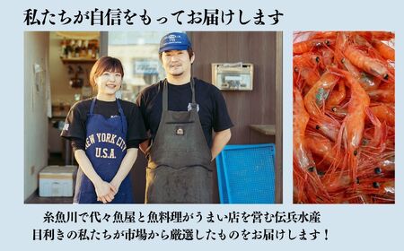 南蛮エビ 日本海直送鮮度抜群！糸魚川産『甘エビ』250g×3パック 際立つ甘さと鮮やかさ 甘くとろける格別の味 【プロも太鼓判！】伝兵水産【えび エビ 甘えび 南蛮エビ】 