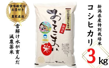 令和6年産 新米】新潟県産 特別栽培米コシヒカリ3kg×1袋「おててこまい」100%根知産 減農薬 令和6年産 専門家お墨付き 産地直送 糸魚川  こしひかり 小田島建設【こしひかり ｺｼﾋｶﾘ こしひかり ｺｼﾋｶﾘ こしひかり ｺｼﾋｶﾘ こしひかり ｺｼﾋｶﾘ こしひかり ｺｼﾋｶﾘ  こしひかり ｺｼﾋｶﾘ ...