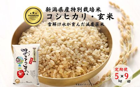 9ヶ月定期便】新潟県産 特別栽培米コシヒカリ【玄米】5kg(1袋)×9回毎月