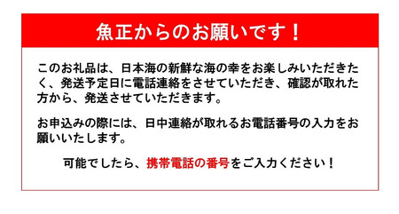 日本海直送 旬の鮮魚詰め合せ【魚種３種程度】鮮魚ボックス 魚のプロが選んだ厳選魚 新潟 糸魚川 能生漁港から朝獲れ新鮮な魚をお届け  (国産 天然 海鮮 お刺身 魚介類セット 鮮魚BOX 便利 簡単 お手軽) 魚正 