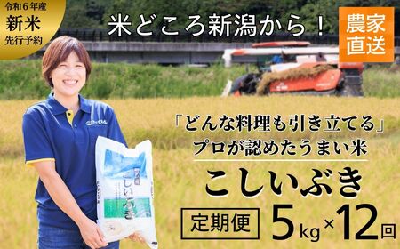 米 新米【令和6年産 新米】【12ヶ月定期便】新潟産こしいぶき 5kg×12回お届け(計60kg) プロが認めたうまい米 コシヒカリ の孫 新潟産コシイブキ 新潟県糸魚川産 農家直送 おいしいお米をお届け 2024年 毎月お届け 【米 お米 こめ コメ 定期便 コシイブキ こしいぶき おすすめ ギフト 5キロ 精米 白米 12ヶ月 12か月 12回】あぐ里能生 