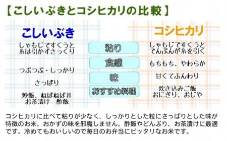 米 新米【令和6年産 新米】【12ヶ月定期便】新潟産こしいぶき 5kg×12回お届け(計60kg) プロが認めたうまい米 コシヒカリ の孫 新潟産コシイブキ 新潟県糸魚川産 農家直送 おいしいお米をお届け 2024年 毎月お届け 【米 お米 こめ コメ 定期便 コシイブキ こしいぶき おすすめ ギフト 5キロ 精米 白米 12ヶ月 12か月 12回】あぐ里能生 