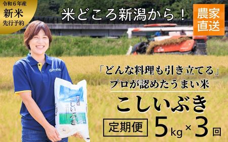 米 新米【令和6年産 新米】【3ヶ月定期便】新潟産こしいぶき 5kg×3回お届け(計15kg) プロが認めたうまい米 コシヒカリ の孫 令和6年産 新潟産コシイブキ 新潟県糸魚川産 農家直送 おいしいお米をお届けします。2024年 毎月お届け 【米 お米 こめ コメ おすすめ ギフト 5キロ 精米 白米 3ヶ月 3か月 3回】定期便 コシイブキ こしいぶき 精米 白米 あぐ里能生