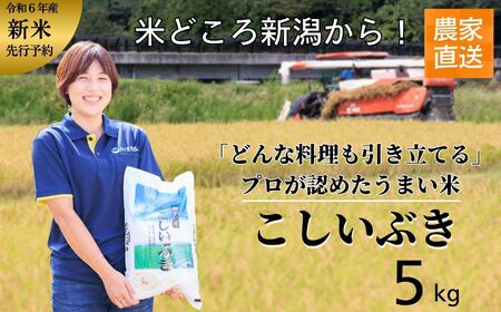 米 新米【令和6年産 新米】新潟産こしいぶき 5kg プロが認めたうまい米 新潟県糸魚川産 農家直送 おいしいお米をお届けします。コシイブキ こしいぶき 精米 白米 あぐ里能生