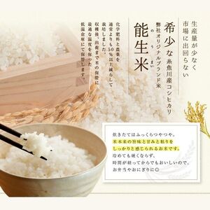 新潟県産コシヒカリ 玄米 30kg 令和5年産 農家直送（小分け・精米サービス可能）