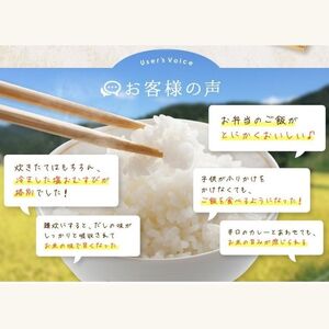 新潟県産コシヒカリ 玄米 30kg 令和5年産 農家直送（小分け・精米サービス可能）