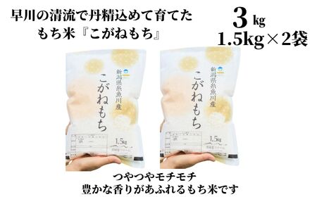 新米 新潟県産 もち米『こがねもち』3kg（2升）令和6年産 つやつやモチモチ もち米ならではの芳醇な香り 清耕園ファーム 【餅 赤飯 おこわ ご飯 ライス ふるさと納税 米 ブランド米】【もち こがねもち もち米 こがねもち 】